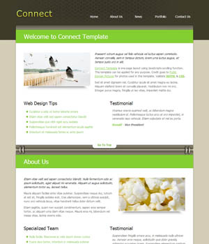 全功能不限制的网页攻击软件