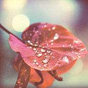 DDOS压力测试网页端